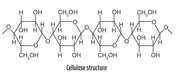 Cellulose Structure