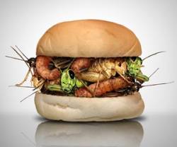 Illustration of insects inside a burger