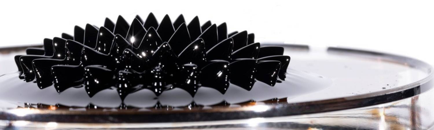 Black neodymium magnet on plate made of glass