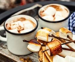 two cups of hot chocolate and skewers of roasted marshmallows
