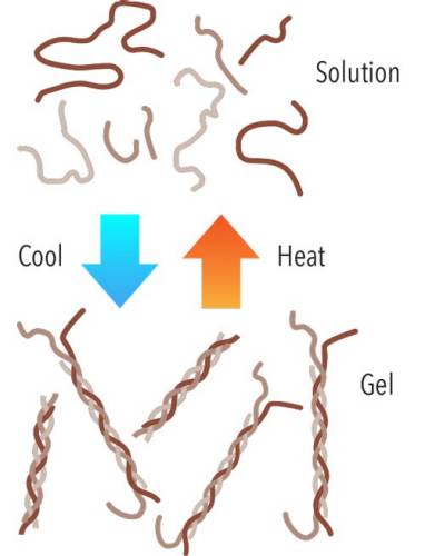 Illustration of elastic gelatin strands transitioning between a solution and a gel as heat is added or removed