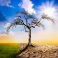 Climate change heat dryness withered earth