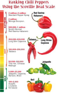 Hot Peppers: Muy Caliente American Society