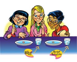 Dissolving M&Ms - American Chemical Society