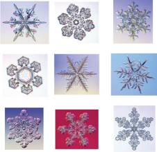 Nine photographs of snowflakes