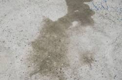Concrete surface with puddle of water