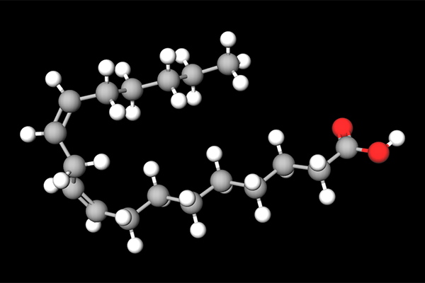 3D Model of Linoleic acid