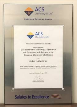 Sample Salutes to Excellence Plaque; a silver plaque with the ACS logo at the top and a white insert in the center
