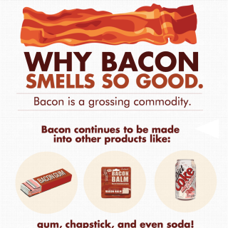 Why bacon smells so good