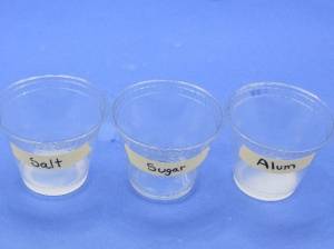 Remaining salt, sugar, and alum in cups after dissolving.