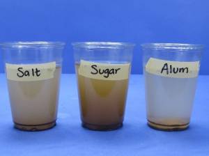Dirty water in cups with salt, sugar, and alum. 