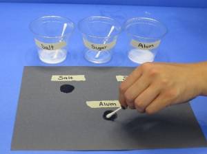 Using cotton swab to put salt, sugar, and alum solutions on black construction paper