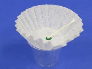 Wet cotton swab placed on green dot in center of coffee filter