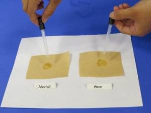 Placing one drop of alcohol and one drop of water on separate pieces of brown paper towel.