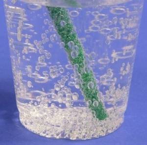 Many bubbles on pipe cleaner in clear soda pop