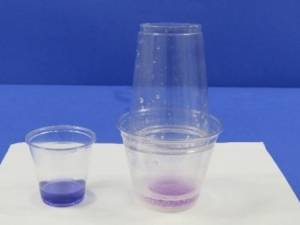 Purple indicator in cup in vinegar and baking soda reaction.