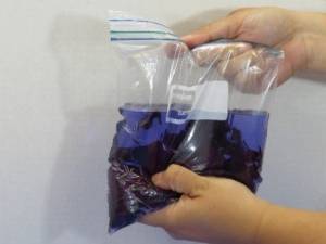 Squishing red cabbage leaves in a plastic bag with water.