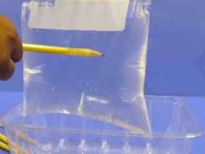 Pushing pencil into plastic bag of water.