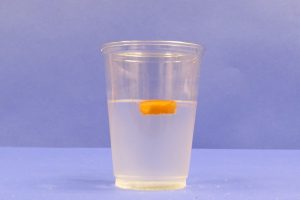 Carrot floating on surface of salt water.