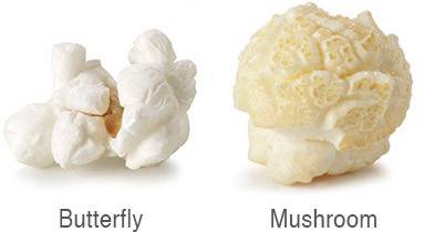 Buterfly and Mushroom types of popcorn