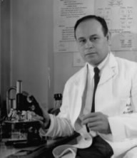 Dr. Charles Richard Drew in a lab, c. 1940-1941.