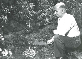 photo of man with plant