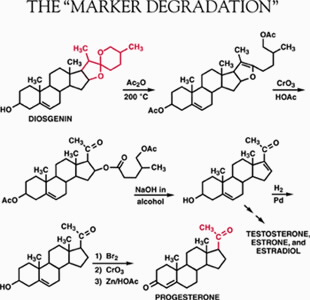 Marker Degradation image showing molecules