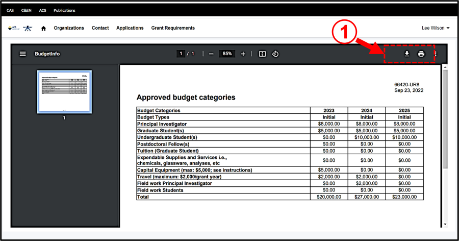 Figure 3. Application Detail - View Budget