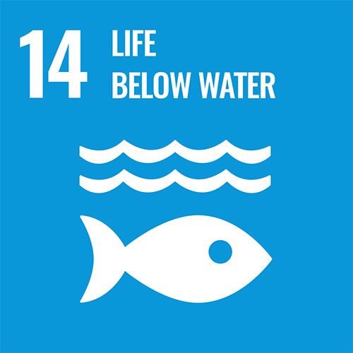 SDG 14: Life Below the Water