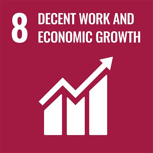 SDG 8: Work & Economic Growth