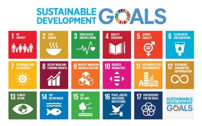 Sustainable Development Goals chart