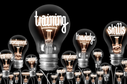 Light bulbs with trainng, development, and skills