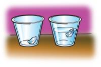 placing ice into a cup with no water and into a cup with water