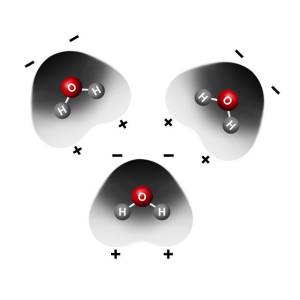 illustration of how water molecules attract through ionic charge