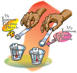 Pouring 1/4 tsp of calcium chloride into a cup of water and 1/2 tsp of Calcium chloride into another cup of water