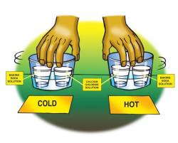 Hot and cold water baths, each containing one cup of baking soda solution and one cup of calcium chloride solution