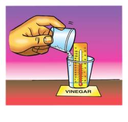 Hand adding baking soda into a cup of vinegar with a thermometor placed inside.