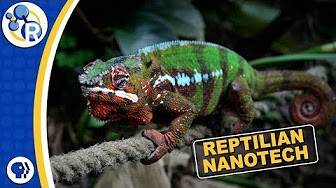 Chameleons are Masters of Nanotechnology