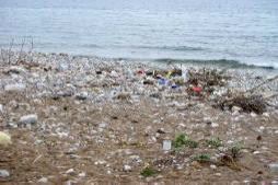 Plastic debris at a water shore