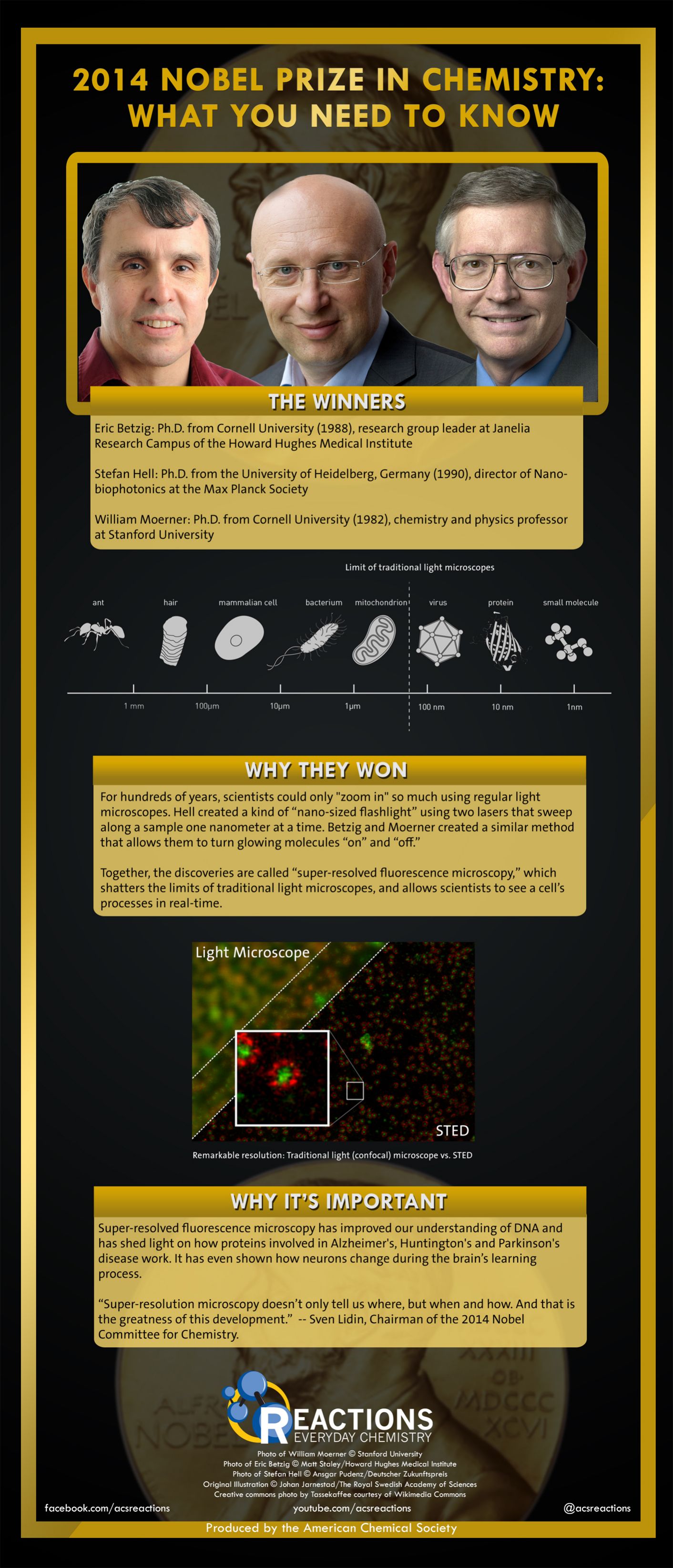Nobel Prize: What You Need to Know Infographic