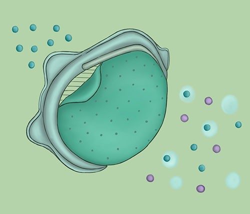 illustration of nanporus membrane