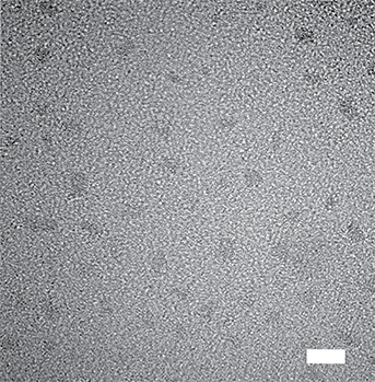 Microscopic image at a scale of 5 nm of nanodiamonds