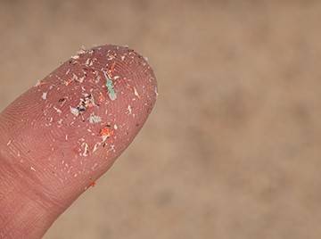 Microplastics on the tip of a human finger