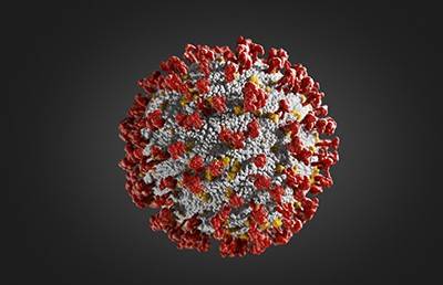illustration of SARS-CoV-2 virus