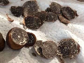 Several Appalachian truffles half sliced into slivers