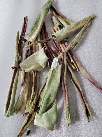 Several dried aloe rinds sit on a white surface.
