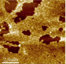 A cluster of particles under a microscope, next to a 2 micrometer scale bar