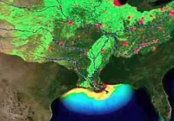 dead zone (hypoxia) in the Gulf of Mexico 
