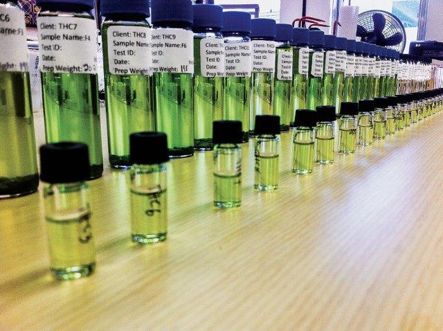 Cannabis vials all in a line on a table