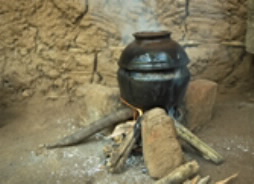 wood-burning cook stove